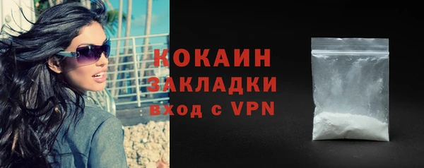 твердый Мегион