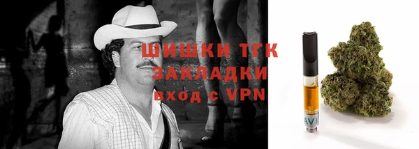 твердый Мегион