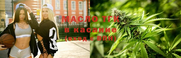 твердый Мегион