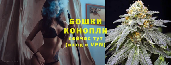 ALPHA PVP Медвежьегорск