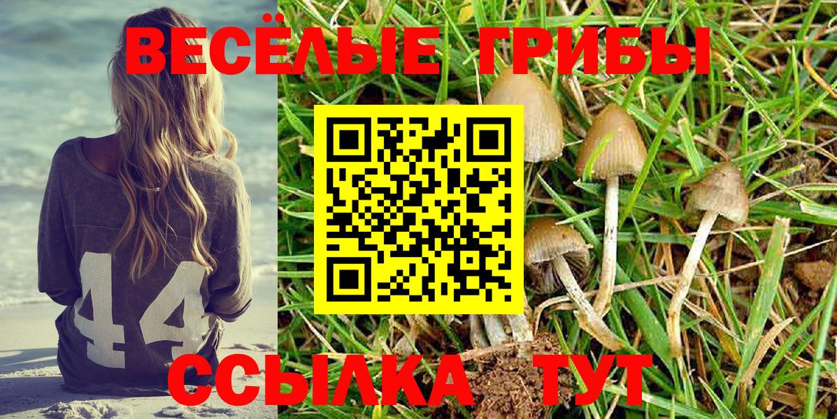 Галлюциногенные грибы прущие грибы  Псилоцибиновые грибы мицелий  Вход с VPN  Омск 